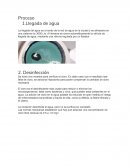 Proceso de purificacion