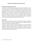 IMPORTANCIA DE LA AUDITORIA DE LA CALIDAD