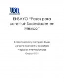 “Pasos para constituir Sociedades en México”