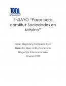 Pasos para constituir sociedades en México