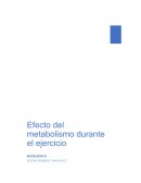 Ensayo de metabolismo