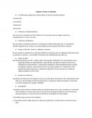 COMERCIO INTERNACIONAL. Grupos de referencia