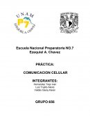 PRÁCTICA: COMUNICACION CELULAR