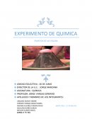 EXPERIMENTO DE QUIMICA . ERUPCION DE UN VOLCAN