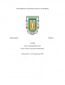 El México multicultural