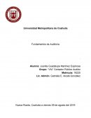 Fundamentos de auditoria. El Control en las Organizaciones