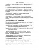 La historia y el ser humano