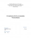 14 motores de la economía venezolana