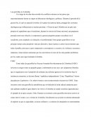 Las guerrillas en colombia: Texto expositivo