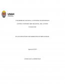 ESTRATEGIA DE MERCADOTECNIA INTERNACIONAL