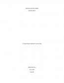 Abandono Animal. ¿Quién abandona animales?