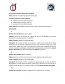 Actividades a realizar durante el año con Generación Emergente