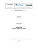 TECNICAS DE DIMENSIONAMIENTO DE LOTE