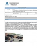 Cómo las prácticas corporales en una institución educativa configuran la comprensión de la educación física como hecho y práctica social