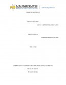 Marco Conceptual TRABAJO SOCIAL