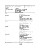 Partes del protocolo de investigacion