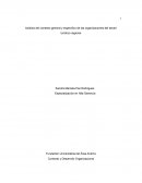 Análisis del contexto general y específico de las organizaciones del sector turístico regional