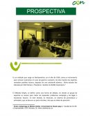 PROSPECTIVA