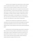 El sol naciente