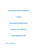 Inteligencia de mercados avance proyecto 1