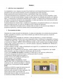 Computación. ¿Qué hace una computadora?