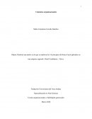 Teorias organizacionales. Exploración de matrices de análisis construidas en el ámbito empresarial