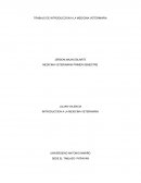 TRABAJO DE INTRODUCCION A LA MEDICINA VETERINARIA