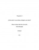Proyecto 3 ¿Cómo abrir una célula y dirigirla con éxito?