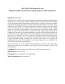 Analisis Empresa: BURGER KING