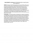 CASO DEBATE LLAOLLAO