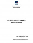 Taller de marketing y comercialización. Matriz de Ansoff