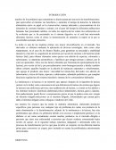 Proceso de Producción del Yogurt descremado, deslactosado y sin azúcar