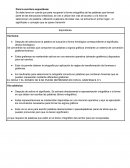 Vías de acceso a la escritura