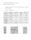 Origen del universo y Origen de la tierra