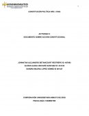 Actividad 8: Documento sobre Acción Constitucional