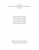 PLAN ESTRATEGICO EMPRESA MASCOTAS