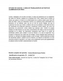 ESTUDIO DE CASO NO. 3 CAÍDA DE TRABAJADOR DE UN POSTE DE ALUMBRADO ELÉCTRICO