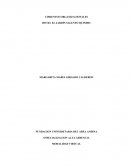 TEORÍA ORGANIZACIONAL Y HABILIDADES GERENCIALES