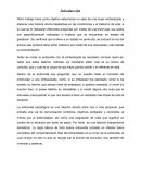 ENTREVISTA A UNA MUJER EMBARAZADA