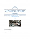 RESUMEN LOS PROBLEMAS DE FINANCIACION DE LAS PYMES CHINA BAJO LA CRISIS FINANCIERA GLOBAL