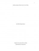 Análisis principios de Henry Fayol en Travel Plans