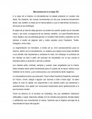 Mercadotecnia en el siglo 21