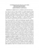 PREBIOTICOS Y ROBIOTICOS EN LA FERMENTACION DE VEGETALES