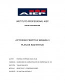 PLAN DE INCENTIVOS