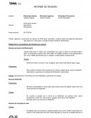 Informe de reunion de una ejecutiva de cuentas