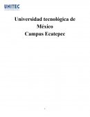 Investigación de los números y conjuntos