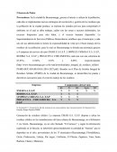 Análisis de las cinco fuerzas de Porter en el contexto de la gestión de residuos en Bucaramanga
