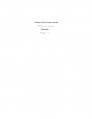 Noticia de economia. ¿ A cuánto podría aumentar el desempleo por el coronavirus ?