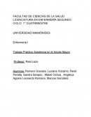 Trabajo Práctico Asistencia en el Adulto Mayor