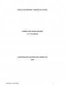 CEDULA DE PESIONES Y RENTAS DE CAPITAL